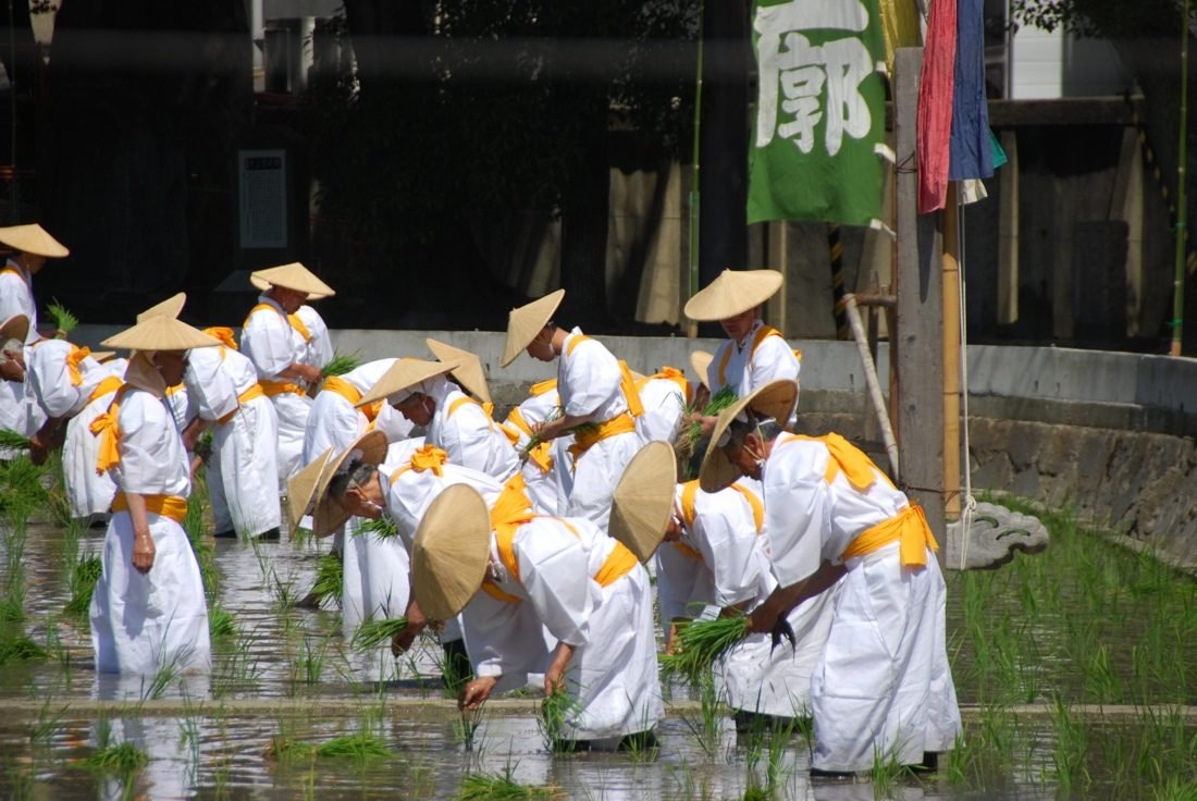 ⛩️ 닛타 신사 이미지 11